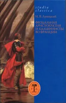 Иван Лучицкий - Феодальная аристократия и кальвинисты во Франции