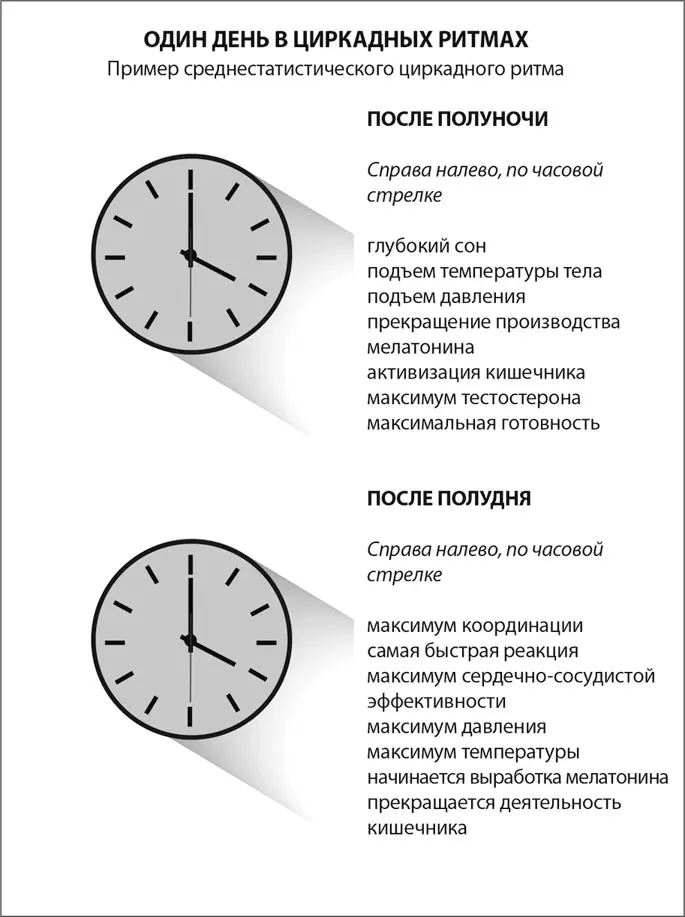 Восприятие времени несмотря на склонность к иллюзиям и отсутствие специального - фото 28