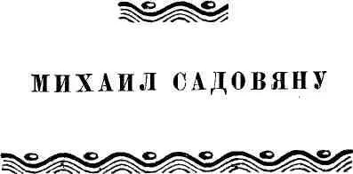 ТАМОЖНЯ НА КЛАДБИЩЕ ЭЮБ Я расскажу вам одн - фото 58
