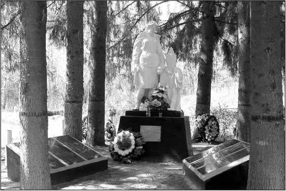 Памятник на братской могиле у д Василево на территории бывшей воинской части - фото 132