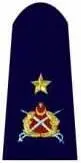 Бригадный генералTuğgeneral Дивизионный генералTümgeneral Армейский - фото 76