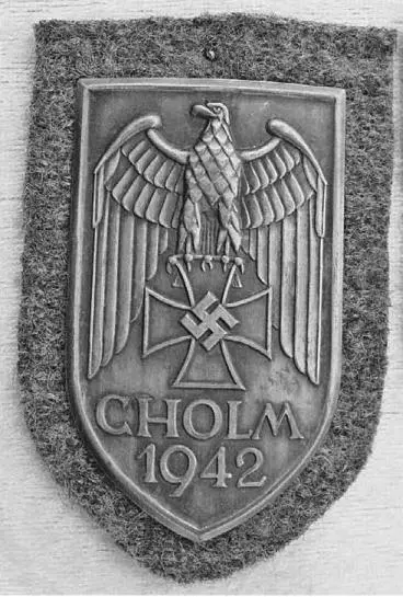Холмский щит Демянский щит Медаль За зимнюю кампанию на Востоке 1941 - фото 105