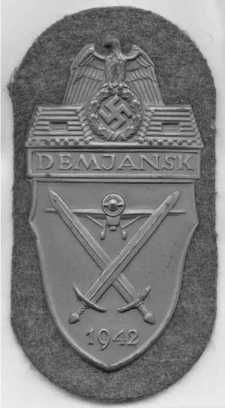 Демянский щит Медаль За зимнюю кампанию на Востоке 1941 42 - фото 106