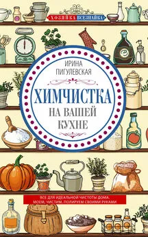 Ирина Пигулевская - Химчистка на вашей кухне [Все для идеальной чистоты дома. Моем, чистим, полируем своими руками]