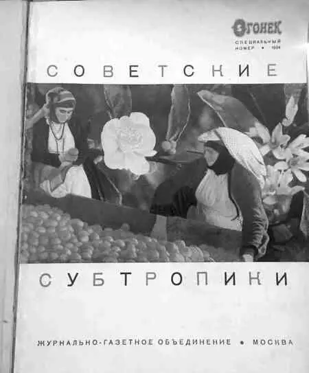 Специальный выпуск журнала Огонек 1934 год Страницы из специального выпуска - фото 45