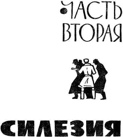 Часть вторая СИЛЕЗИЯ 1 На следующий день сидя в виллисе и кутаясь в спаси - фото 8
