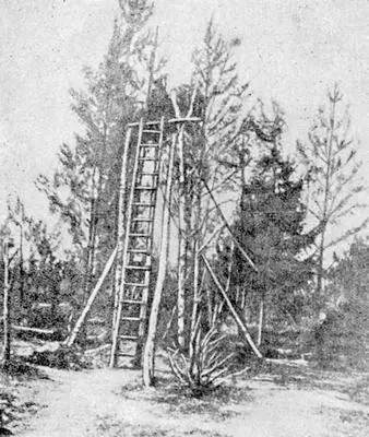 Рис 6Наблюдательный пункт на вышке под Барановичи Июль 1916 г Главным - фото 6