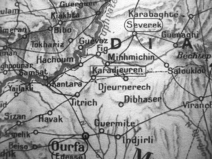 КараДжурн Karadjeuren между Урфой Ourfa и Севреком Severek - фото 22