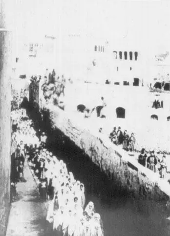 Армянские женщины Это люди говорившие на всех языках земли их жены и - фото 5