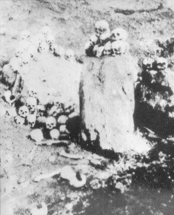 Письма с Ближнего Востока Смерть на Босфоре В декабре 1918 года - фото 58