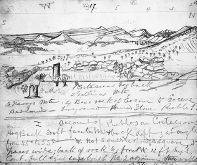 Страница из полевого блокнота Копа 1874 г изображающая богатые окаменелостями - фото 30