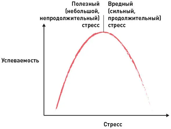Как справиться со стрессом Справиться со стрессом помогут три следующих - фото 106