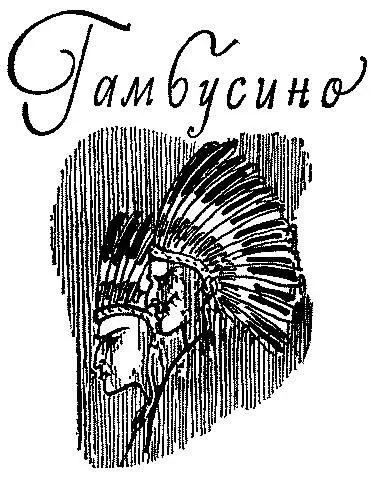 Густав Эмар ГАМБУСИНО113 I СТУДЕНТБОГОСЛОВ Благодаря системе управления - фото 18