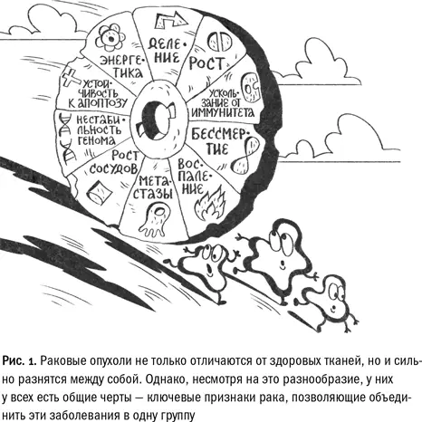 Почему же рак привлекает такое внимание исследователей причем не только - фото 2