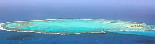 Сухих веток на костерок мы всёже на островке собрали и тот костерок развели - фото 38