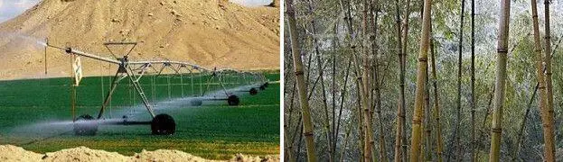 Да сколько вы той зелени перевезёте за один рейс раз в год Это же всё равно - фото 141
