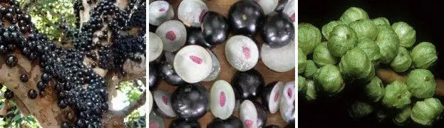 Что нашли выход из положения сами это они конечно молодцы мы даже не - фото 147
