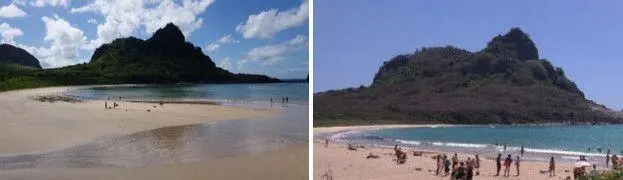Тем не менее для масличной пальмы этого тоже совершенно недостаточно и те - фото 149
