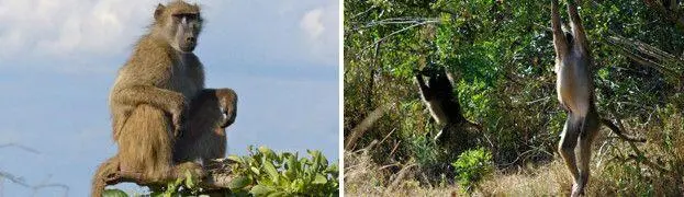 Вот и надо чтоб поскорее осознали и зарубили себе на носу Они тут - фото 163
