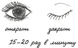 Конечно ты моргаешь не просто так Это нужно для того чтобы глазное яблоко - фото 76
