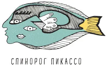 117 Юлий Цезарь был очень тщеславным Древнеримского правителя и полководца - фото 136