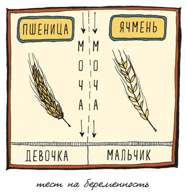И ещё коечто о тестах на беременность Самый первый тест на беременность - фото 171