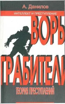 Александр Данилов - Воры. Грабители: Теория преступлений: Книга 2