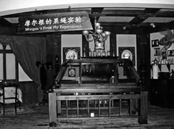 В 1910 году генетик из Колумбийского университета Томас Хант Морган случайно - фото 37