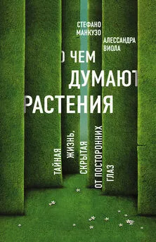 Стефано Манкузо - О чем думают растения?