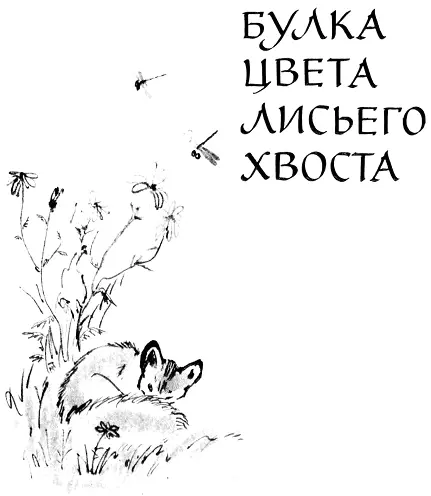 Глава первая Нонтян знакомится с лисёнком Коном Нонтян 30 Тян частица - фото 88
