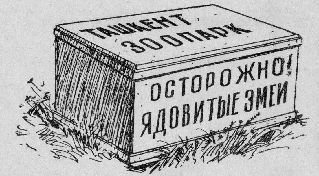 Аркадий Демьянович Недялков В САНТИМЕТРЕ ОТ СМЕРТИ Повесть Гослитиздат УзССР - фото 31