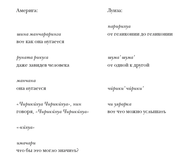 В этих параллельных воспоминаниях о происшествии Америга произнесла название - фото 14