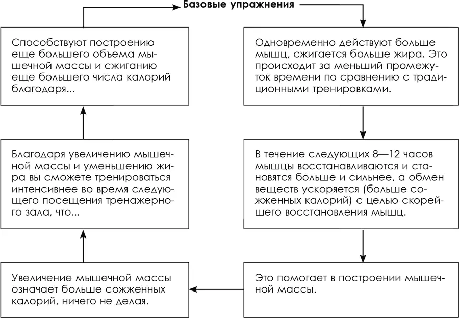 Дезориентация мышц почему не ВСЕ изменения к лучшему Как видите все что - фото 30