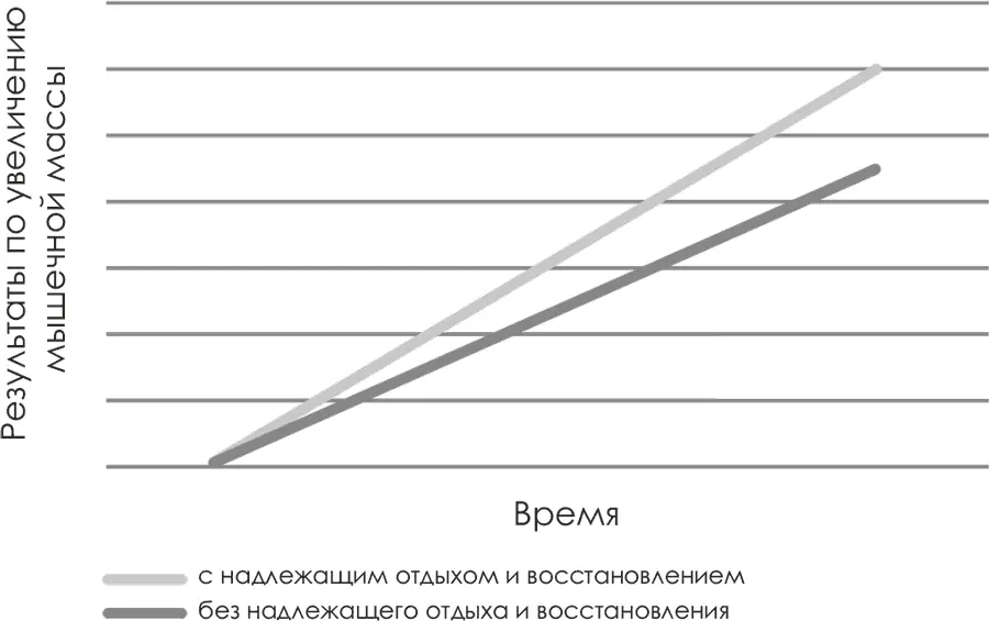 Режим ростбифа Мой первый экскурс в мир пищевых добавок произошел в 2006 году - фото 43