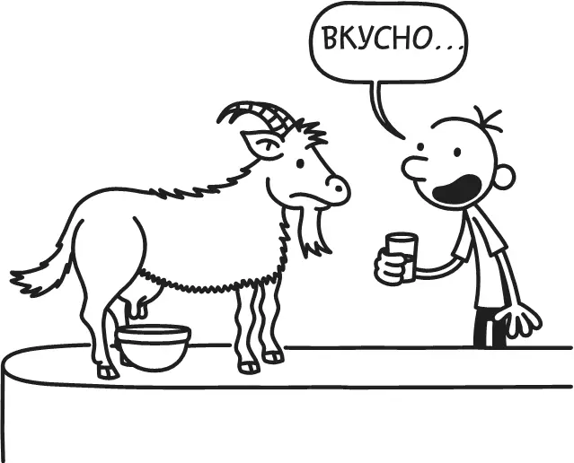 Вчера вечером мама нашла в морозилке пшеничные лепёшки и приготовила их на - фото 302