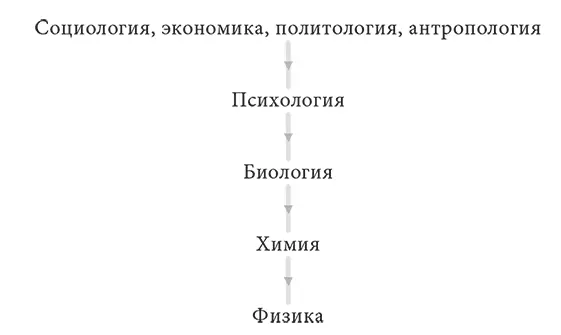 Значимость биологии для социальных наук должна быть очевидной так как области - фото 21