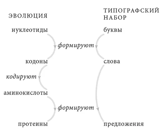 РИС XVI1 Опечатки в книге или в любом письменном сообщении обычно негативно - фото 24