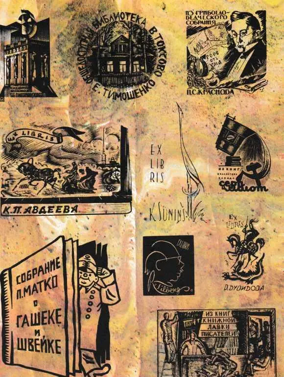 В стране книголюбов - фото 54