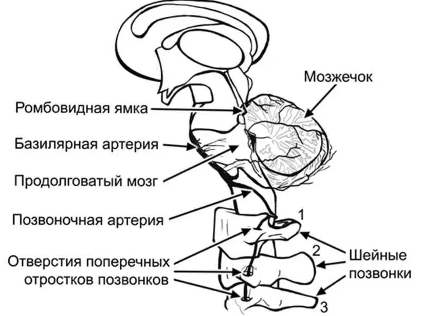 Метаболический синдром напомню это триада ожирение сопровождающееся - фото 2