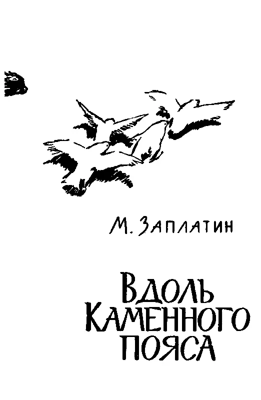 НАЧАЛО МАРШРУТА КАЧКАНАР О Качканаре теперь пишут много Это одна из больших - фото 2