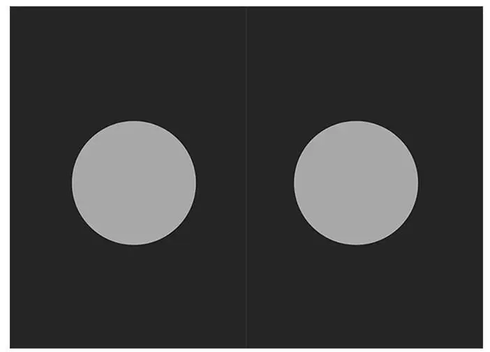 На следующем рисунке серый кружок слева на темном фоне выглядит светлее чем - фото 4