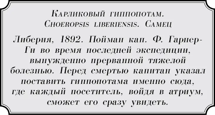 Очень красиво согласился Бен Но 1892 год это так давно Ты думаешь - фото 75