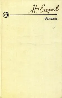 Николай Егоров - Залежь