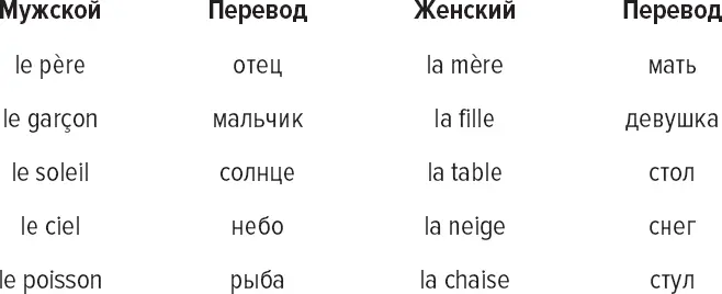 ЧИСЛО В грамматике число обозначает сколько имеется чегонибудь Часто число - фото 8