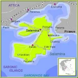 Карта современного Саламина В музее выставляются следующие экспозиции 1 - фото 222