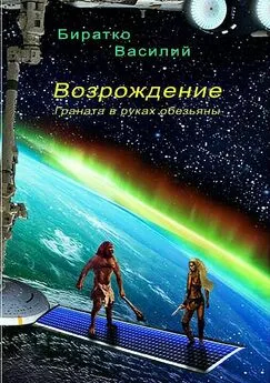 Василий Биратко - Возрождение, или Граната в руках обезьяны [СИ]