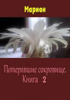 Марион - Потерявшие сокровище. Книга 2 [СИ]