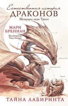 Мари Бреннан - Мемуары леди Трент: Тайна Лабиринта [litres]