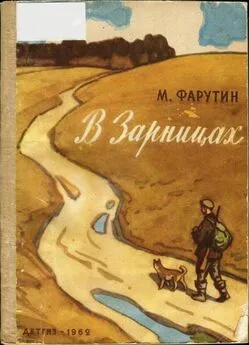 Михаил Фарутин - В Зарницах