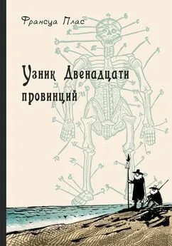 Франсуа Плас - Узник Двенадцати провинций